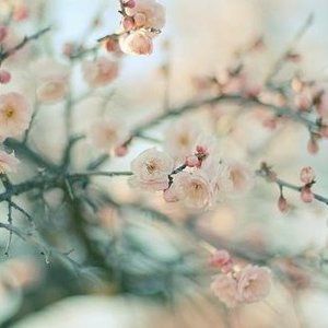 Meet your Posher, Danyella